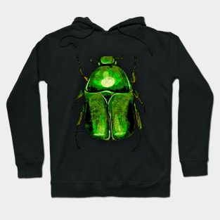 Bugs-15 Rose Chafer Hoodie